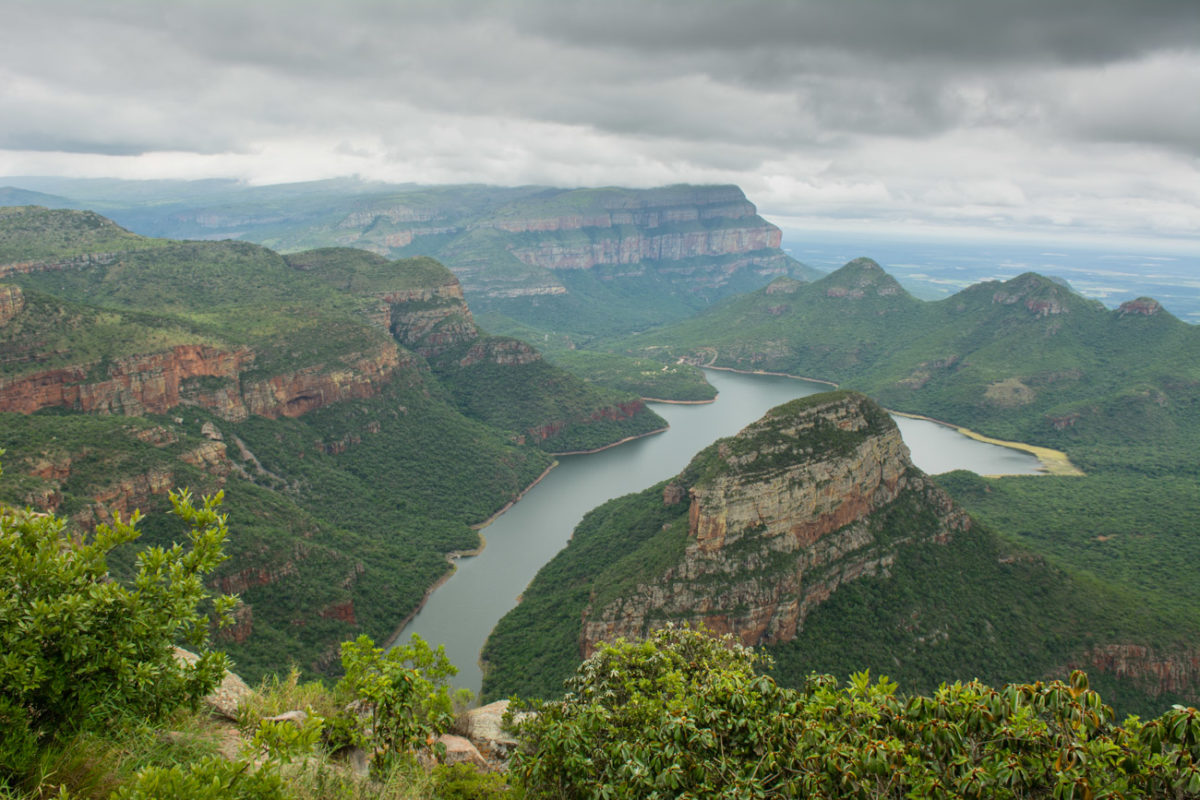 20styczeń_south africa_7100_0443