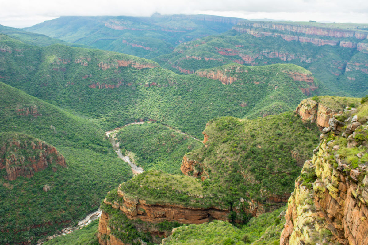 20styczeń_south africa_7100_0451