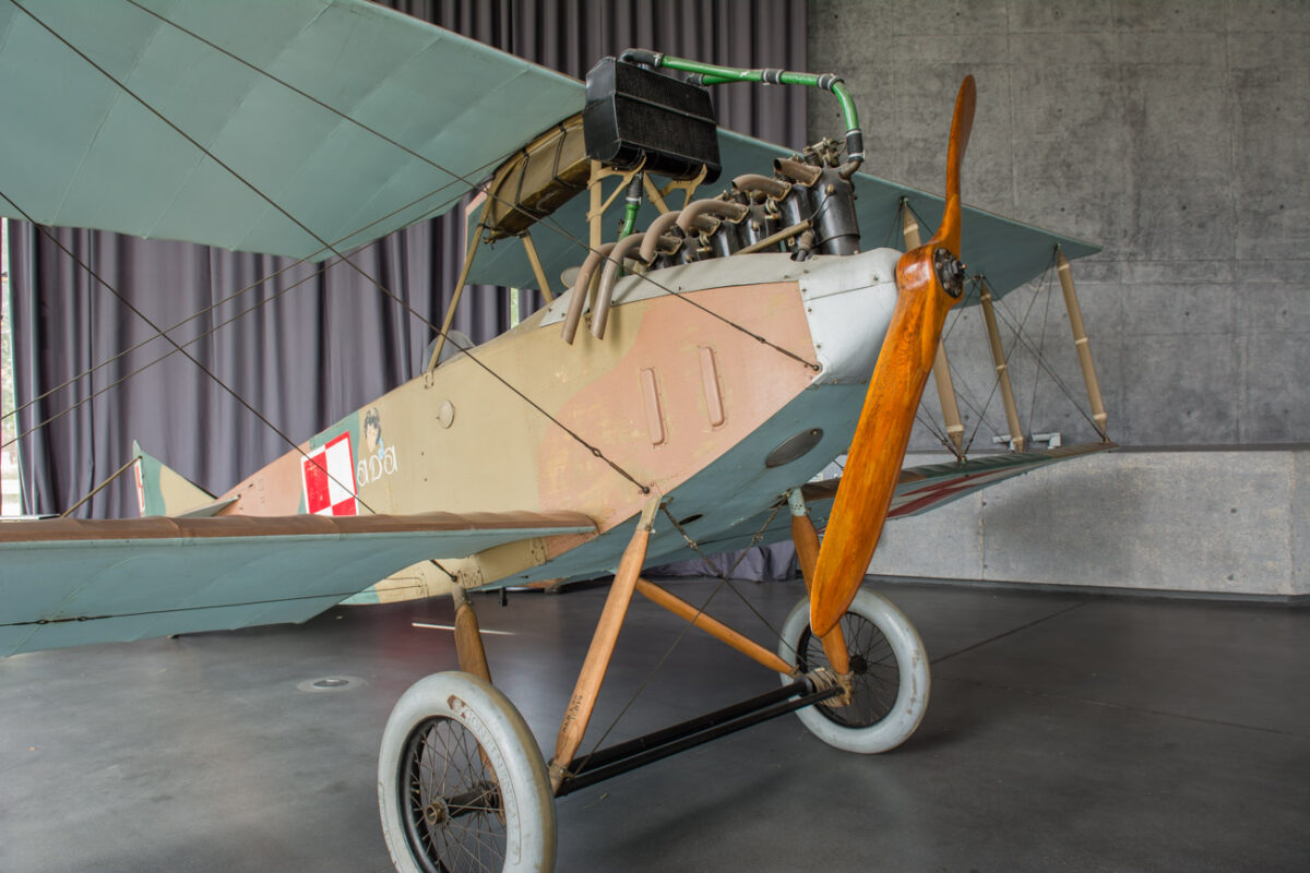 21czerwiec_mlp_0010