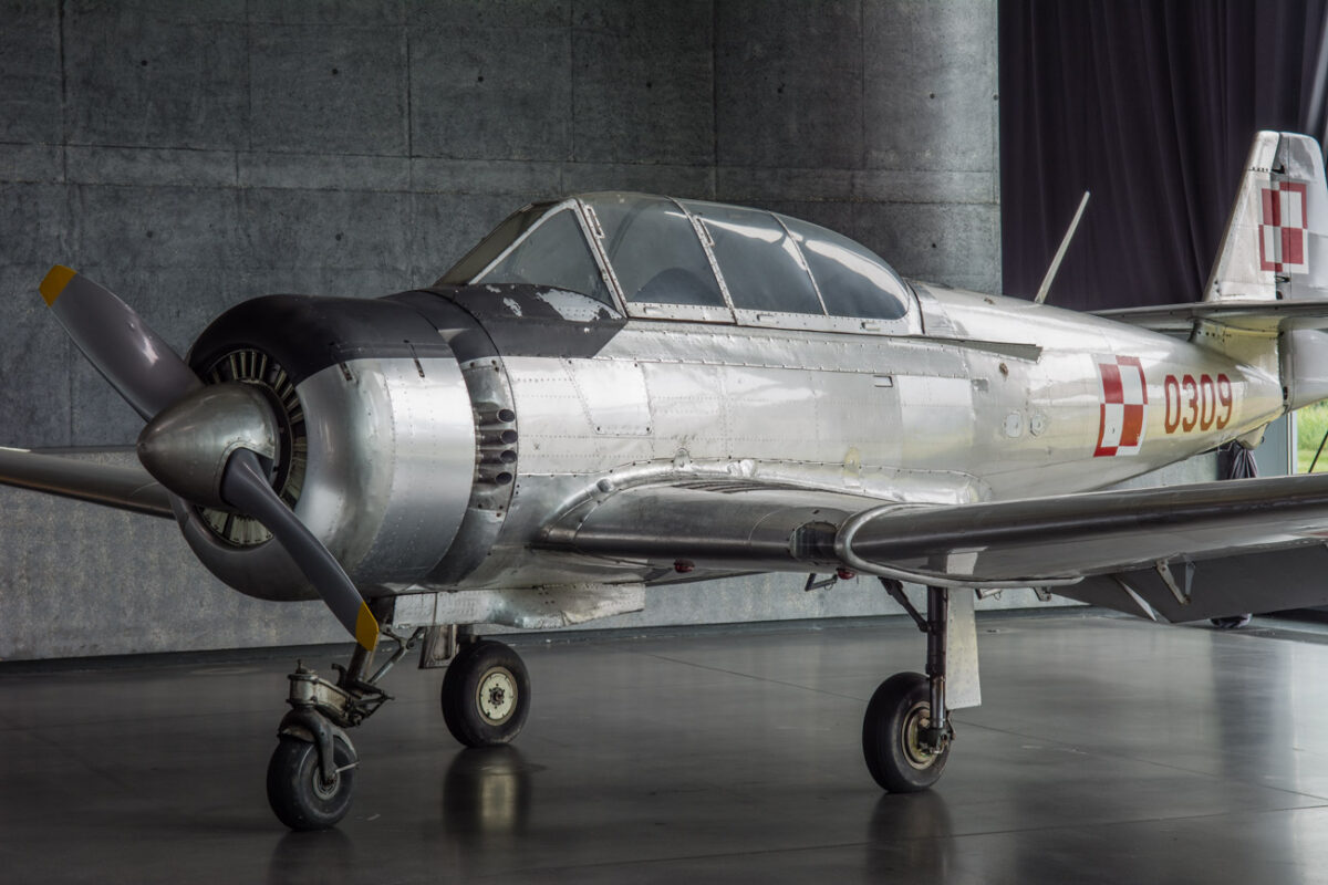 21czerwiec_mlp_0015