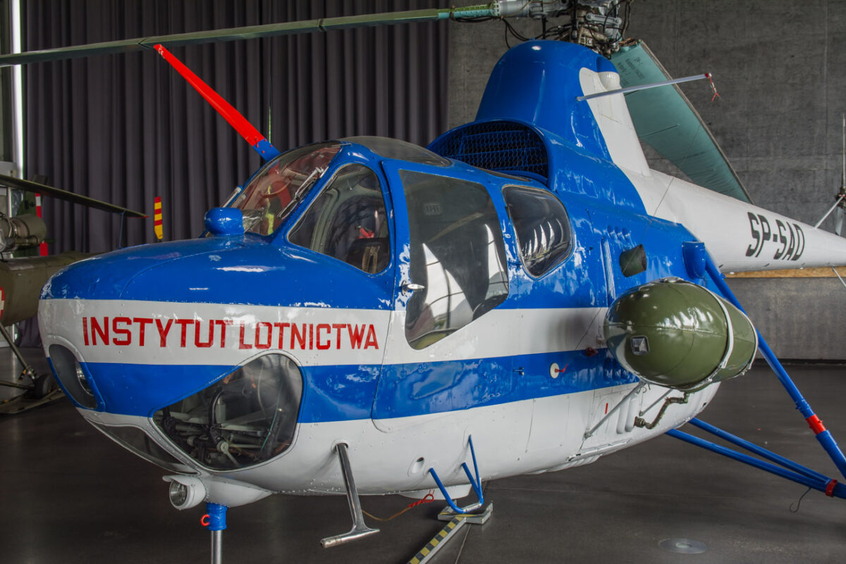 21czerwiec_mlp_0017