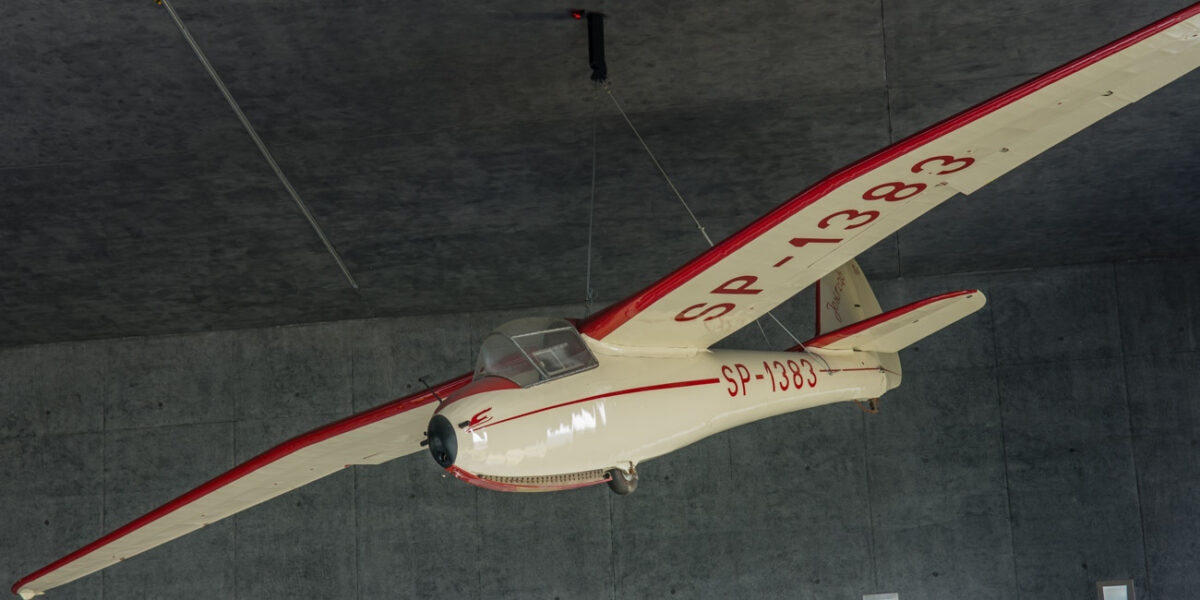 21czerwiec_mlp_0025