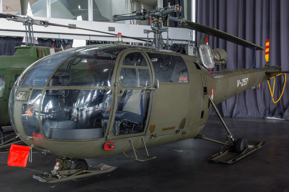 21czerwiec_mlp_0027
