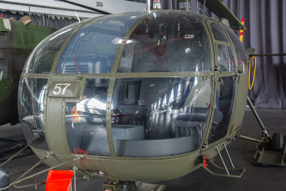21czerwiec_mlp_0028