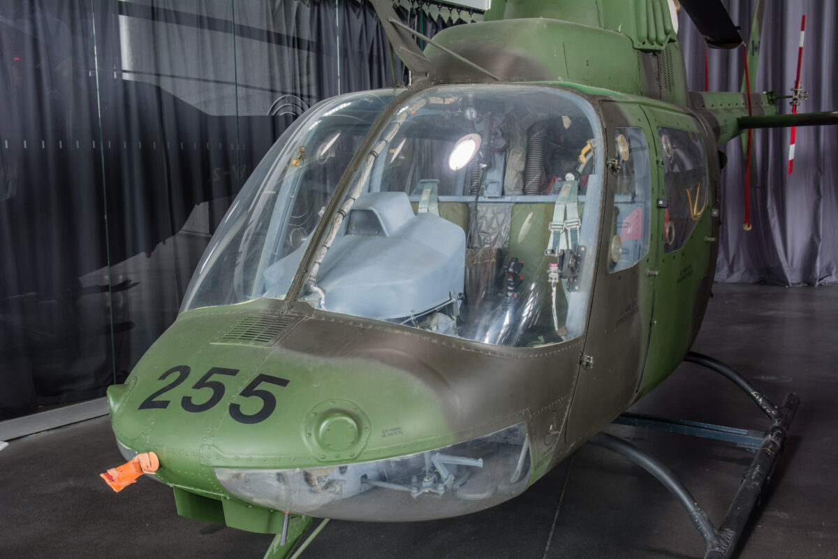 21czerwiec_mlp_0031