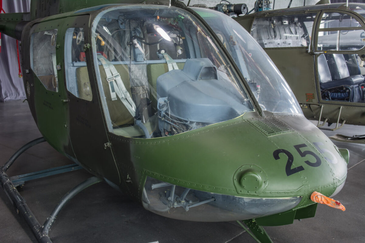 21czerwiec_mlp_0036