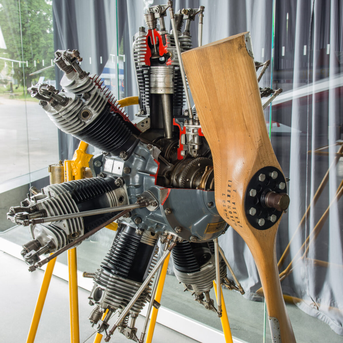 21czerwiec_mlp_0037