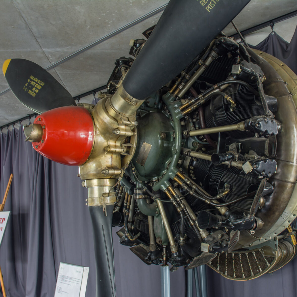 21czerwiec_mlp_0039