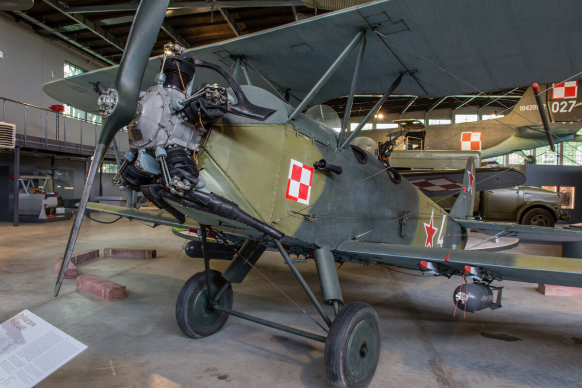 21czerwiec_mlp_0050