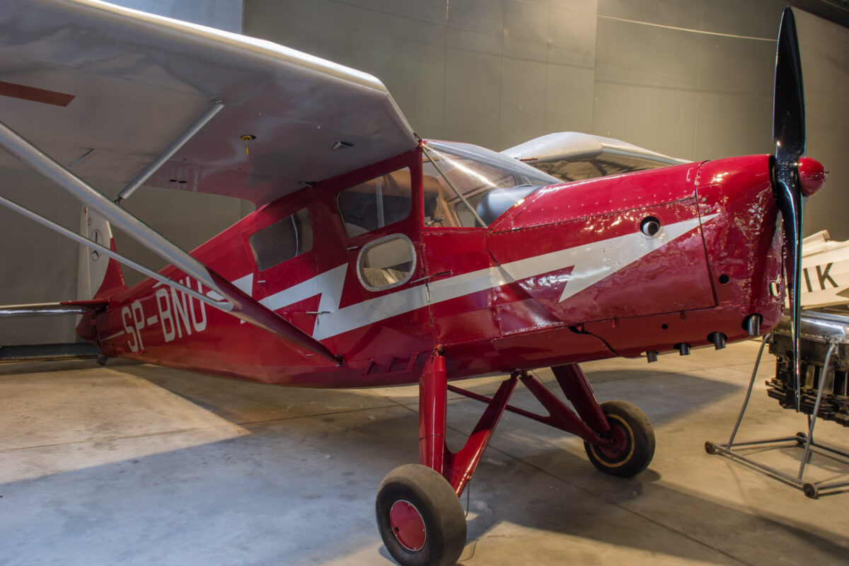 21czerwiec_mlp_0052