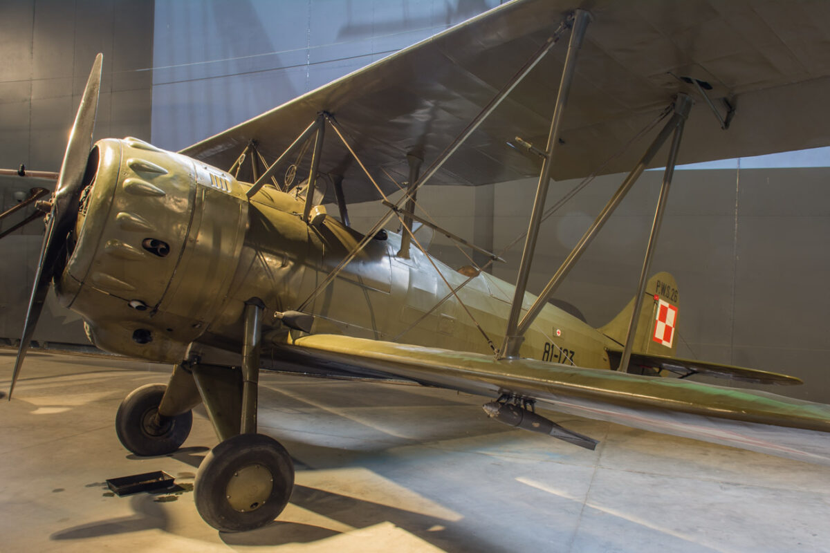 21czerwiec_mlp_0056