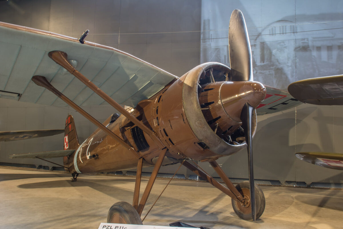 21czerwiec_mlp_0062
