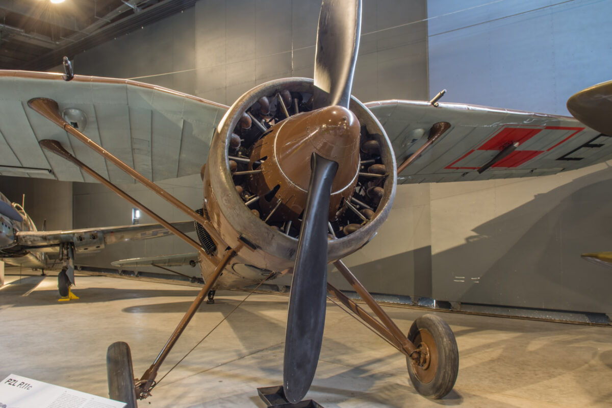 21czerwiec_mlp_0065