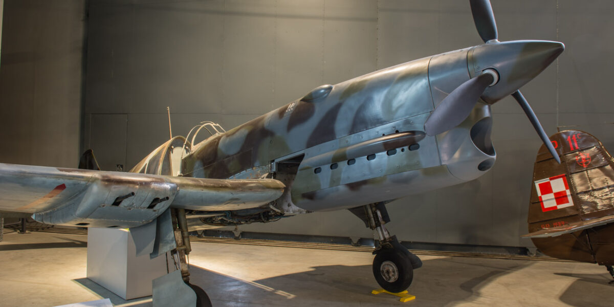 21czerwiec_mlp_0068