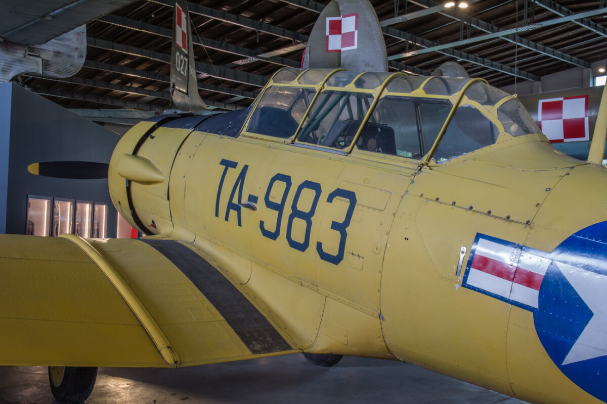 21czerwiec_mlp_0073