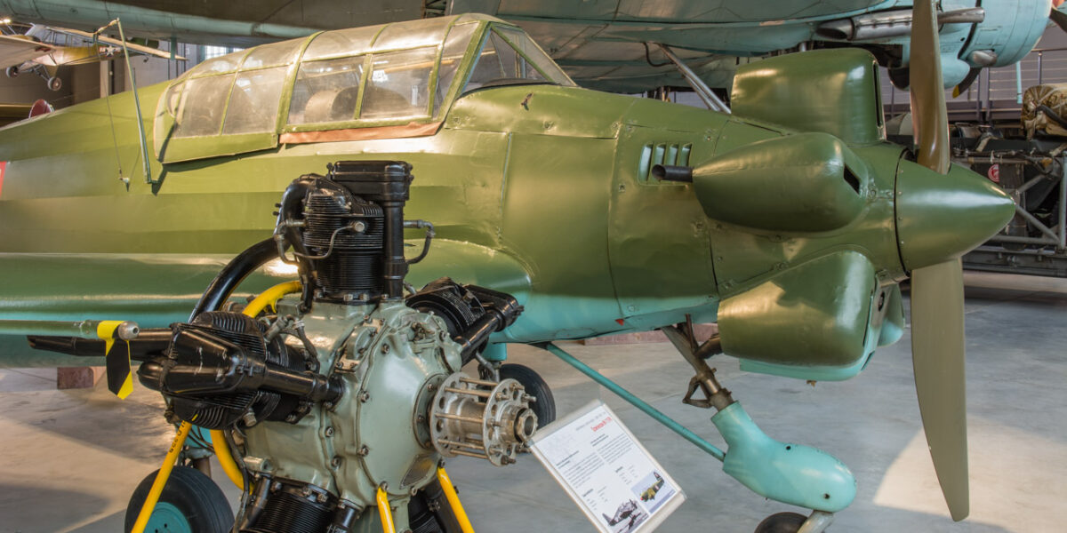 21czerwiec_mlp_0097