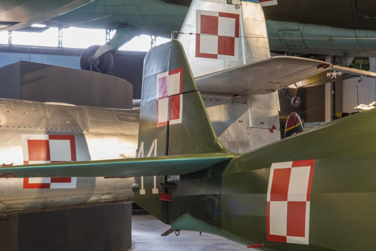 21czerwiec_mlp_0098