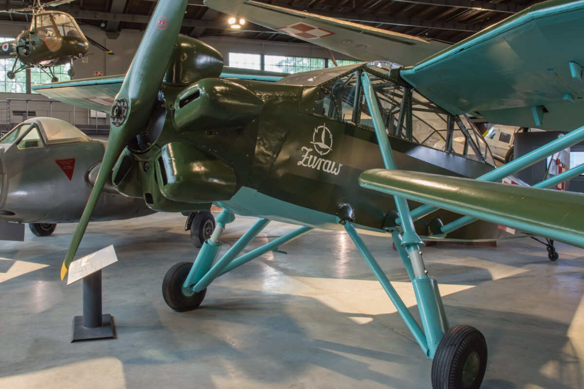 21czerwiec_mlp_0100