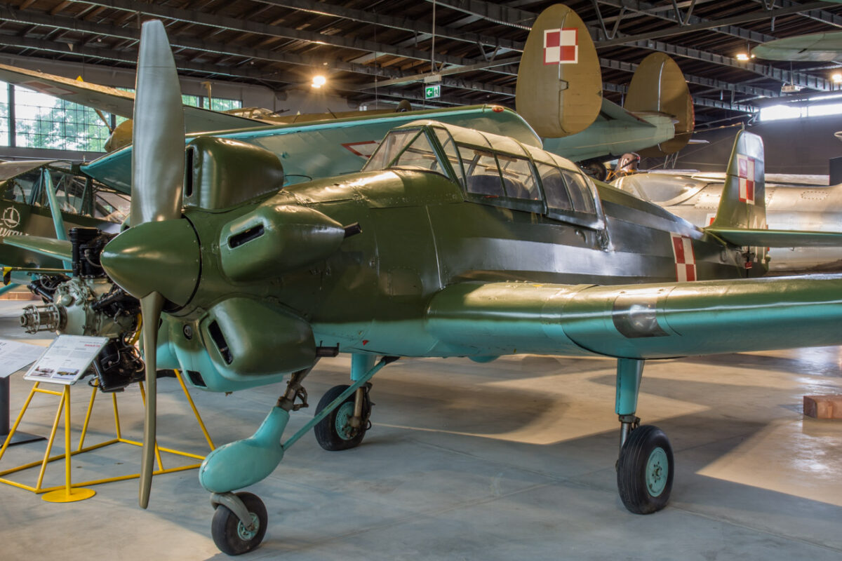 21czerwiec_mlp_0102