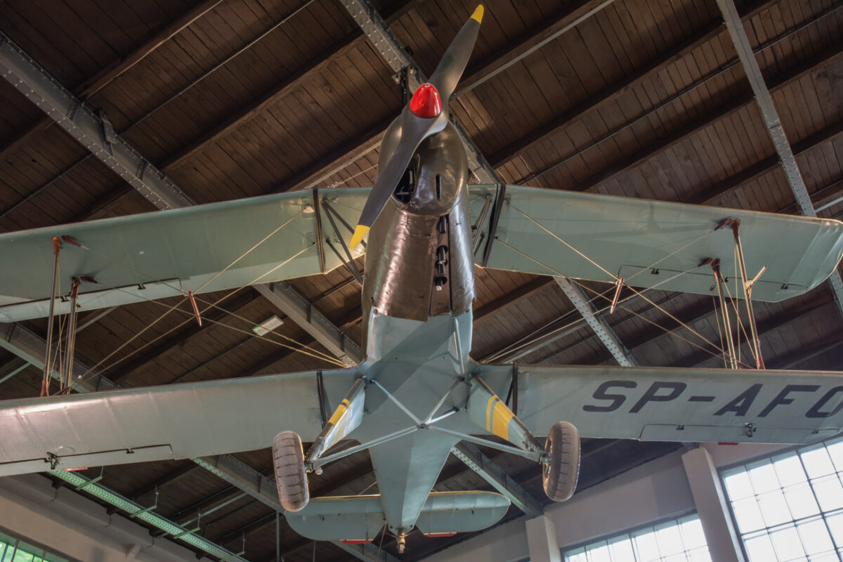 21czerwiec_mlp_0103