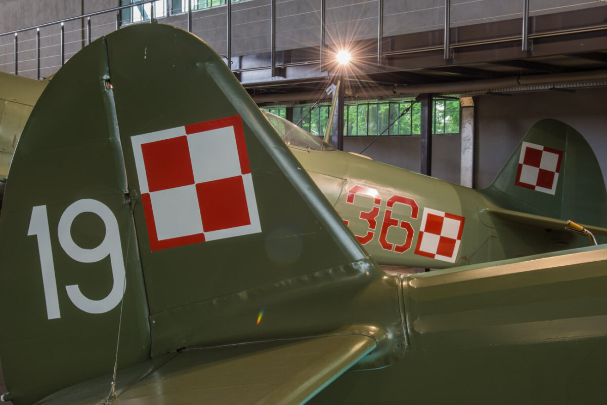 21czerwiec_mlp_0104