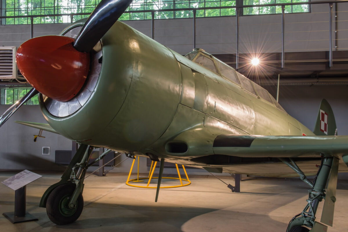 21czerwiec_mlp_0105