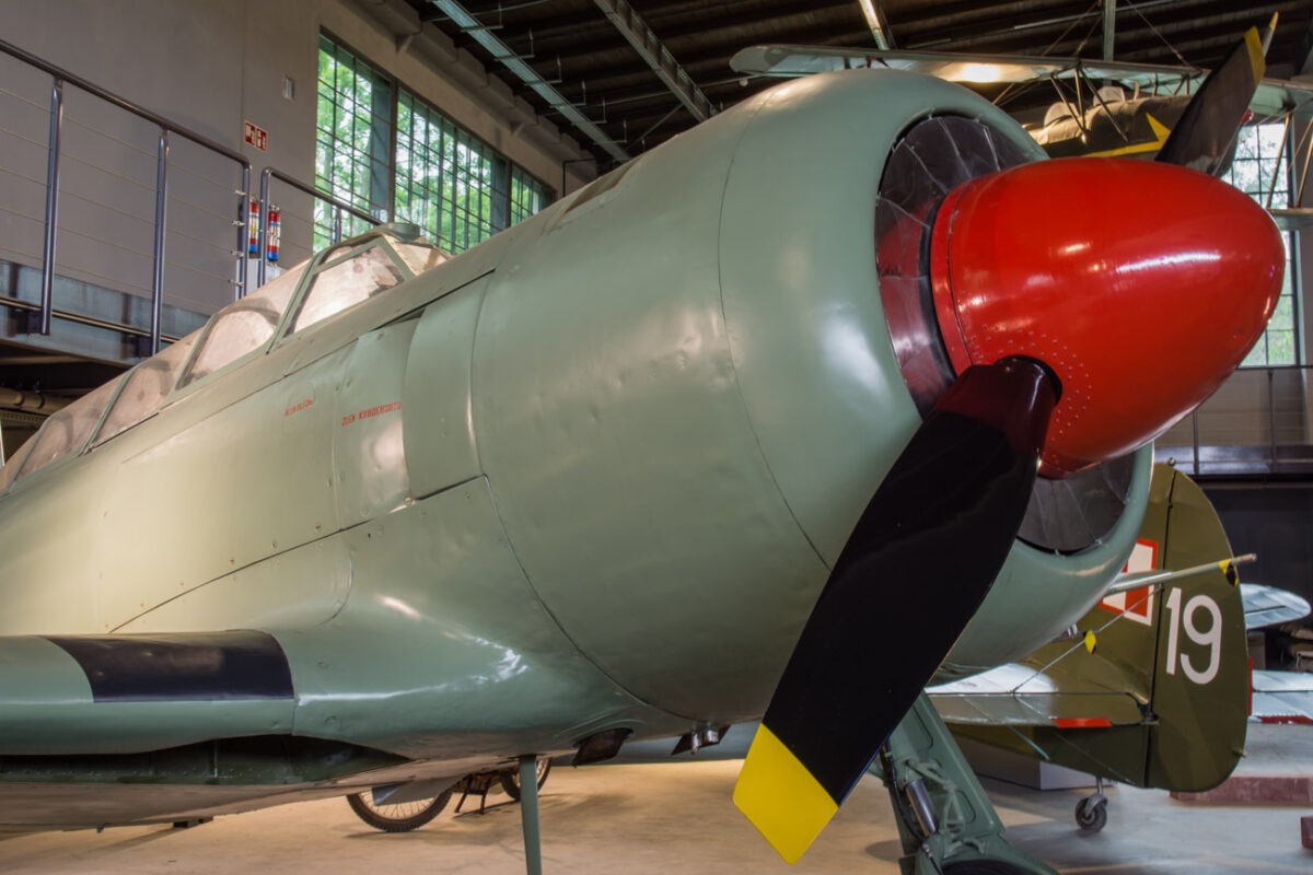 21czerwiec_mlp_0106