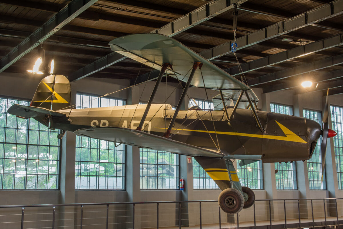 21czerwiec_mlp_0119
