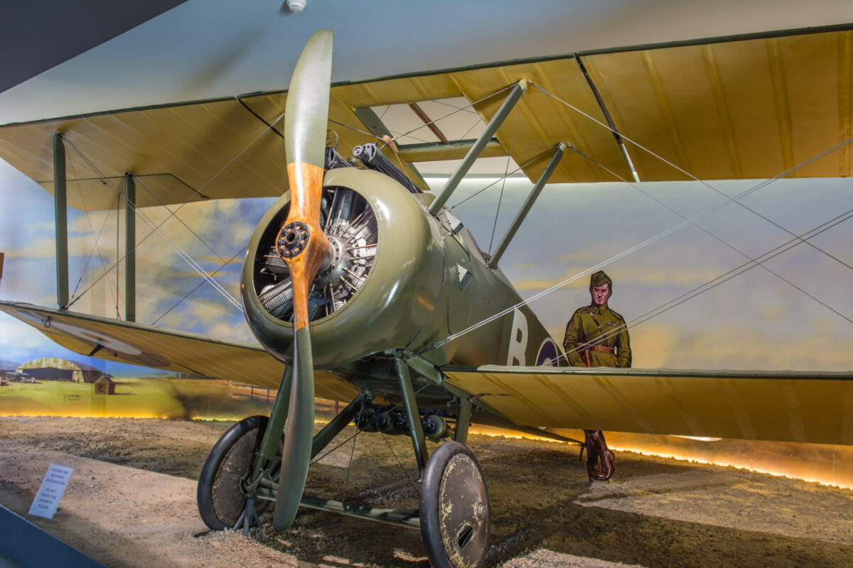 21czerwiec_mlp_0238