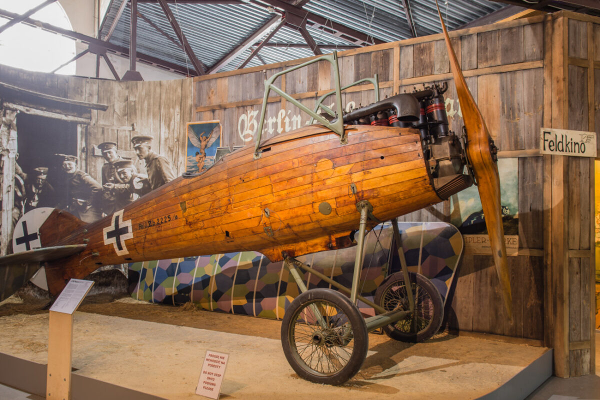 21czerwiec_mlp_0241