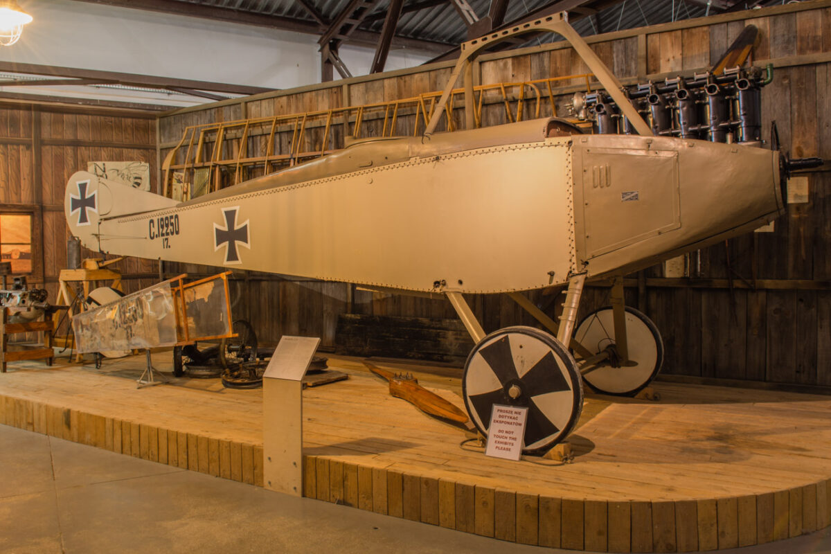 21czerwiec_mlp_0242
