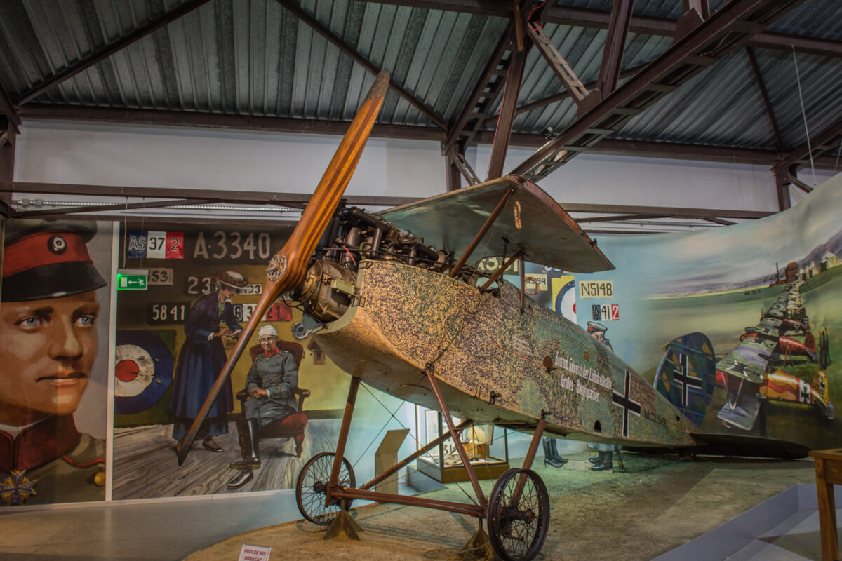 21czerwiec_mlp_0244