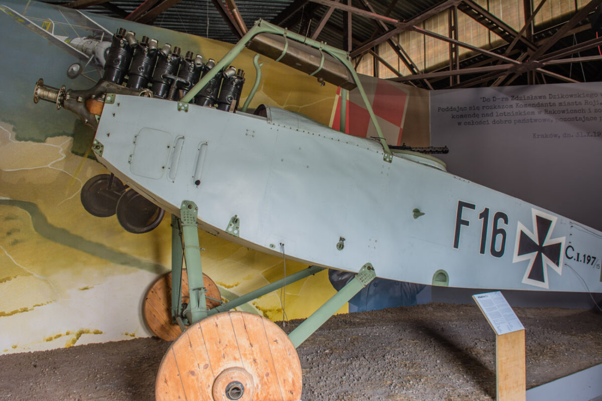 21czerwiec_mlp_0257