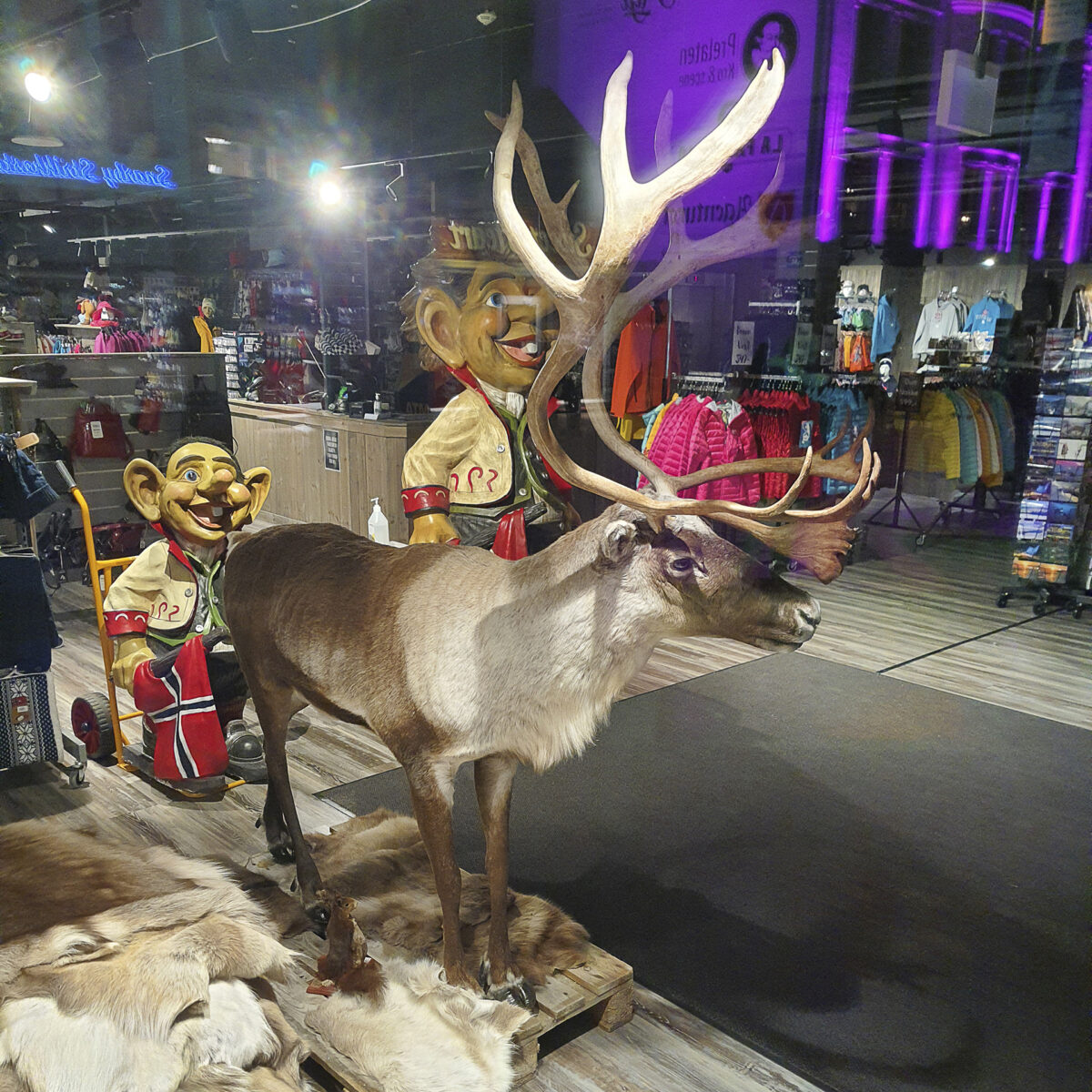 21październik_tromso_samsung_0066
