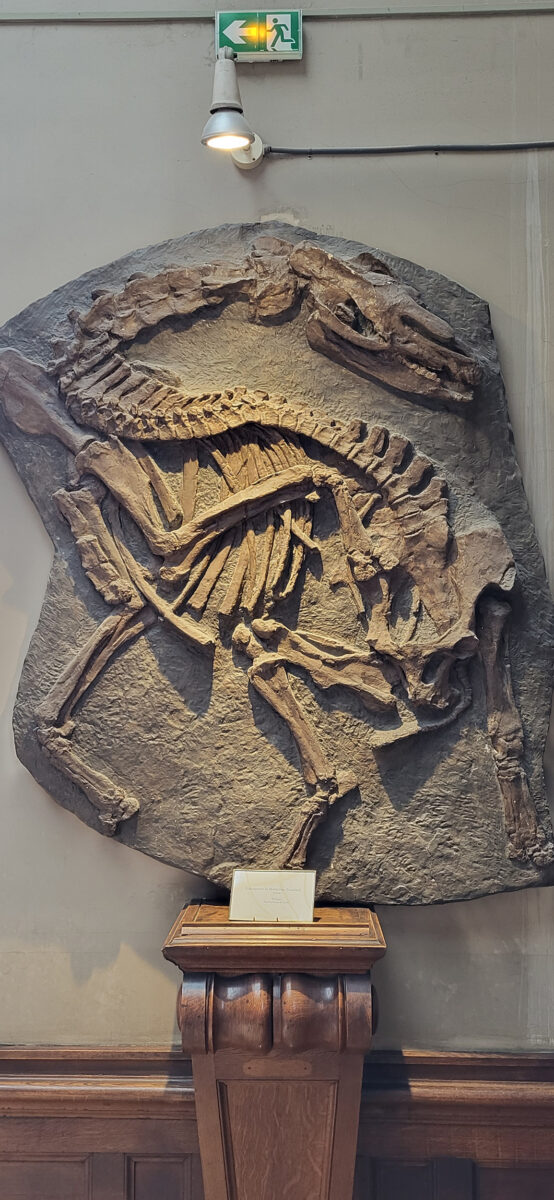 20220608_103533