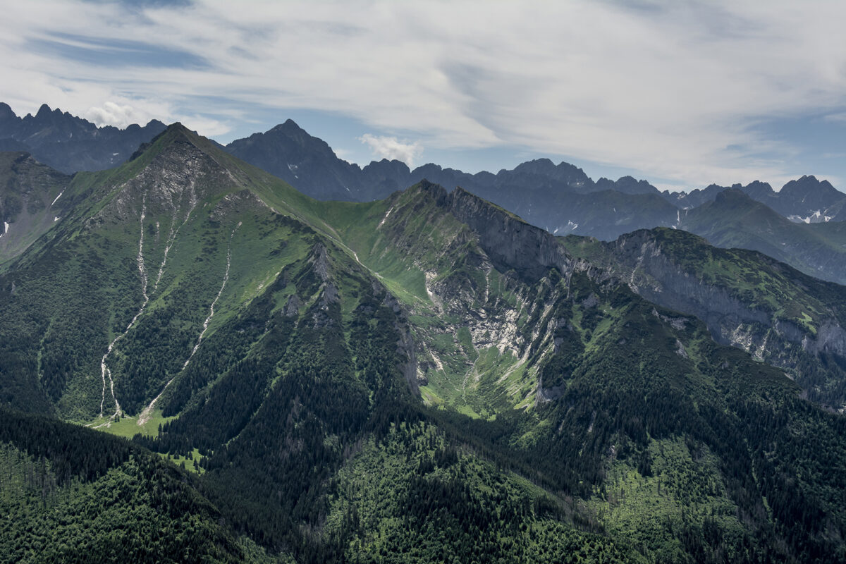 _DSC7193