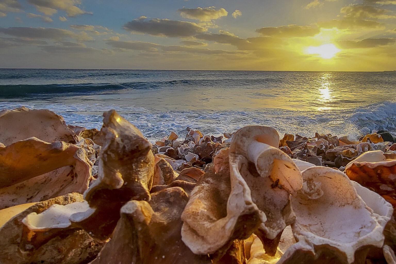 Fotografia z galerii „Cabo Verde XII’2023”