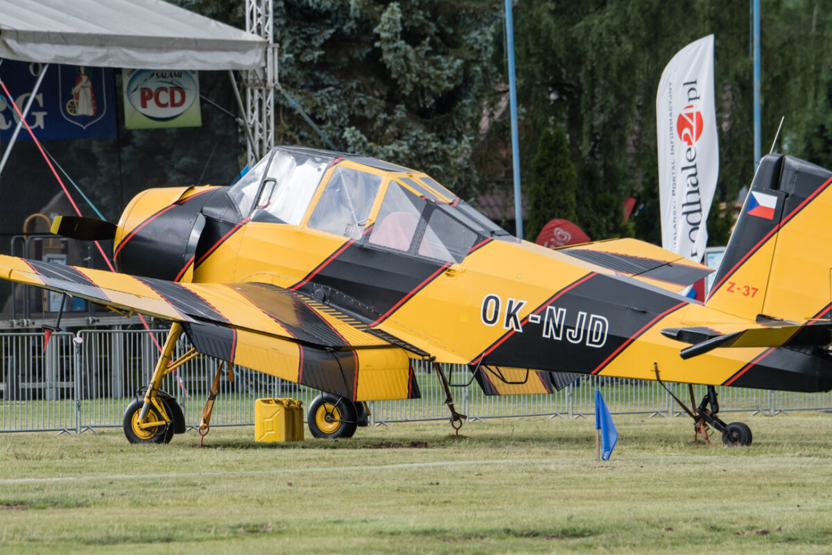 24lipiec_piknik_epnt_3215