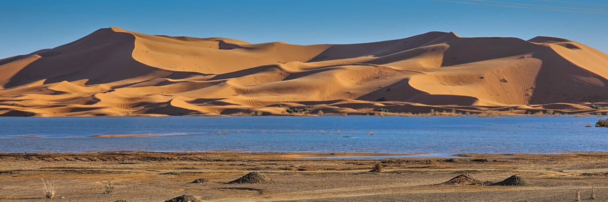 20241216_162936