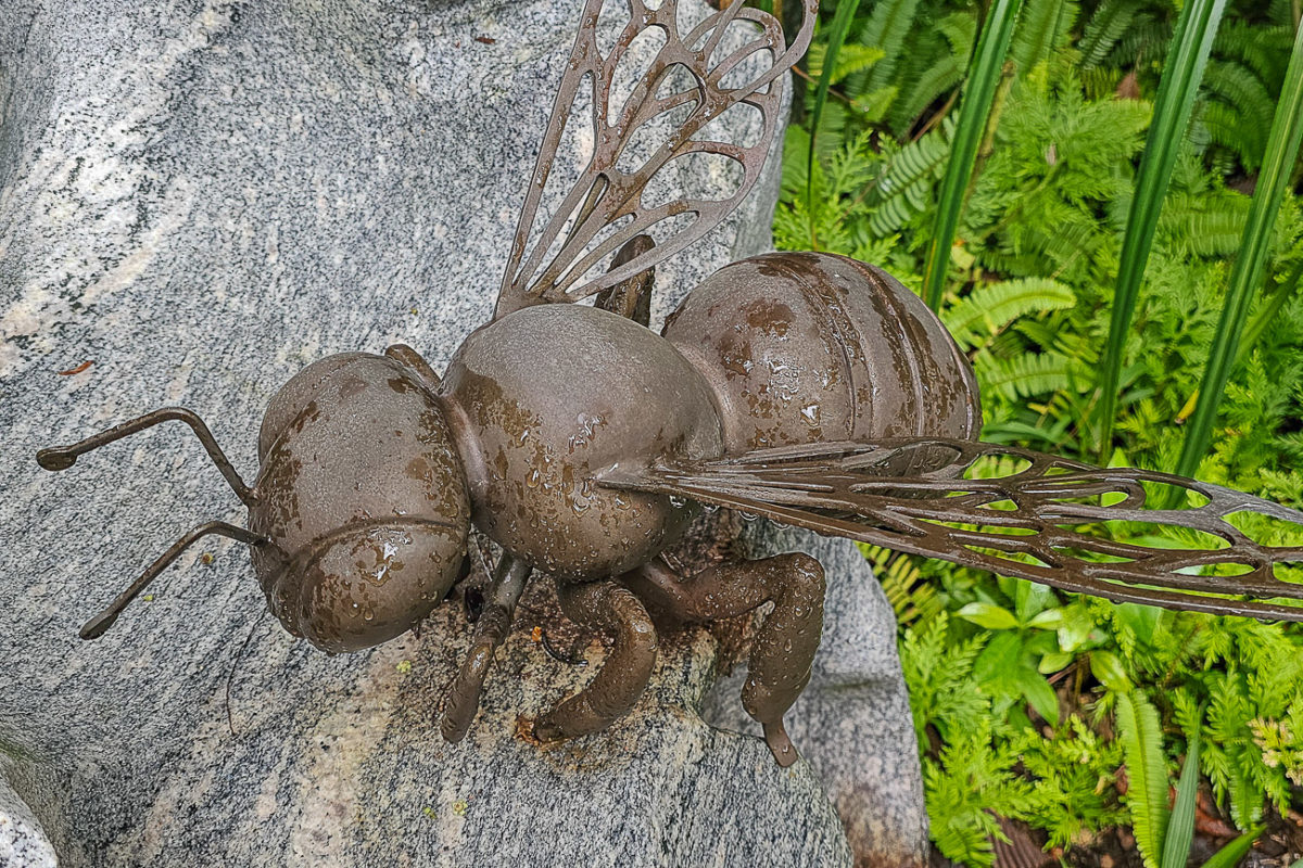 20260219_094522