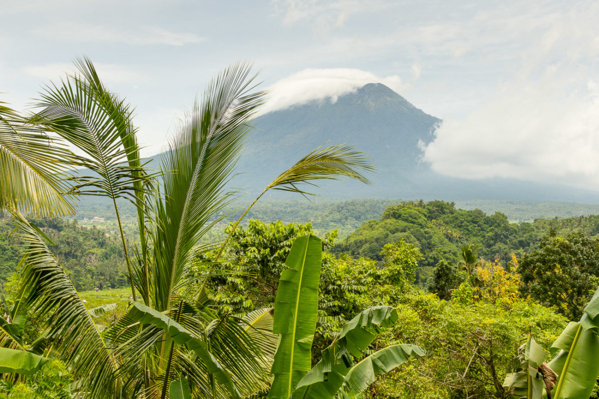 26marzec_sing_male_bali_canon_0714