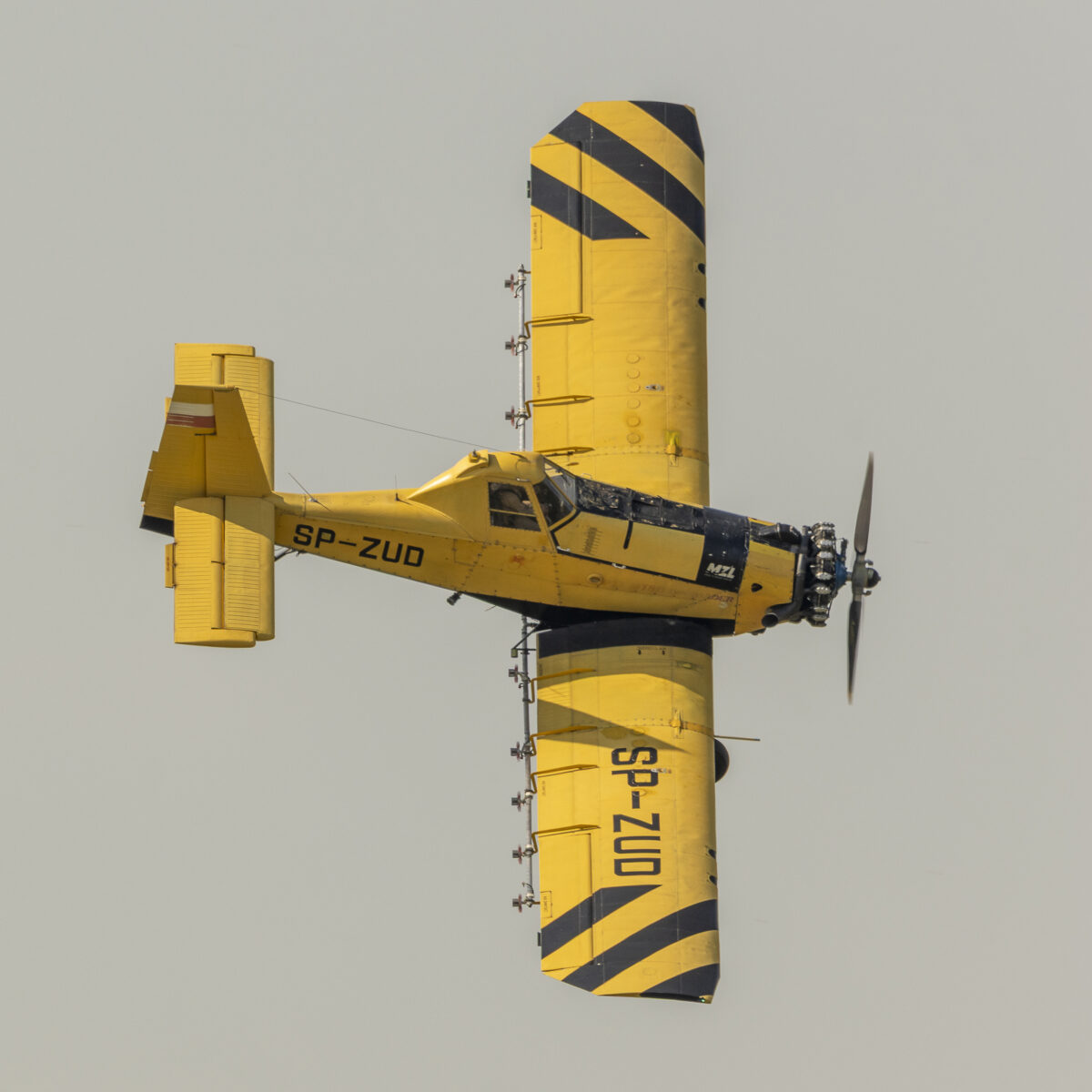_CI_8804