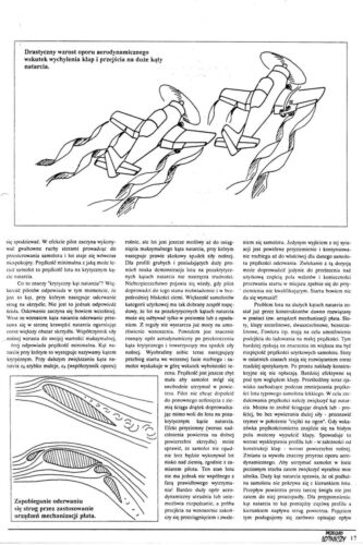 Pilotaż - archiwalia (12)