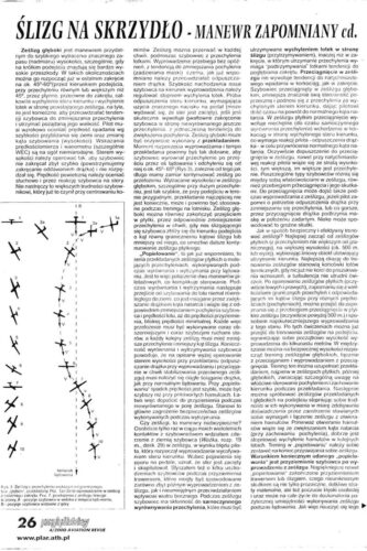 Pilotaż - archiwalia (40)